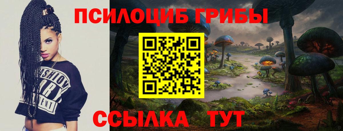Михайловск  Галлюциногенные грибы MAGIC MUSHROOMS  Вход с VPN  Галлюциногенные грибы GOLDEN TEACHER 